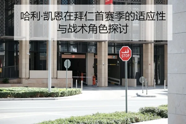 哈利·凯恩在拜仁首赛季的适应性与战术角色探讨